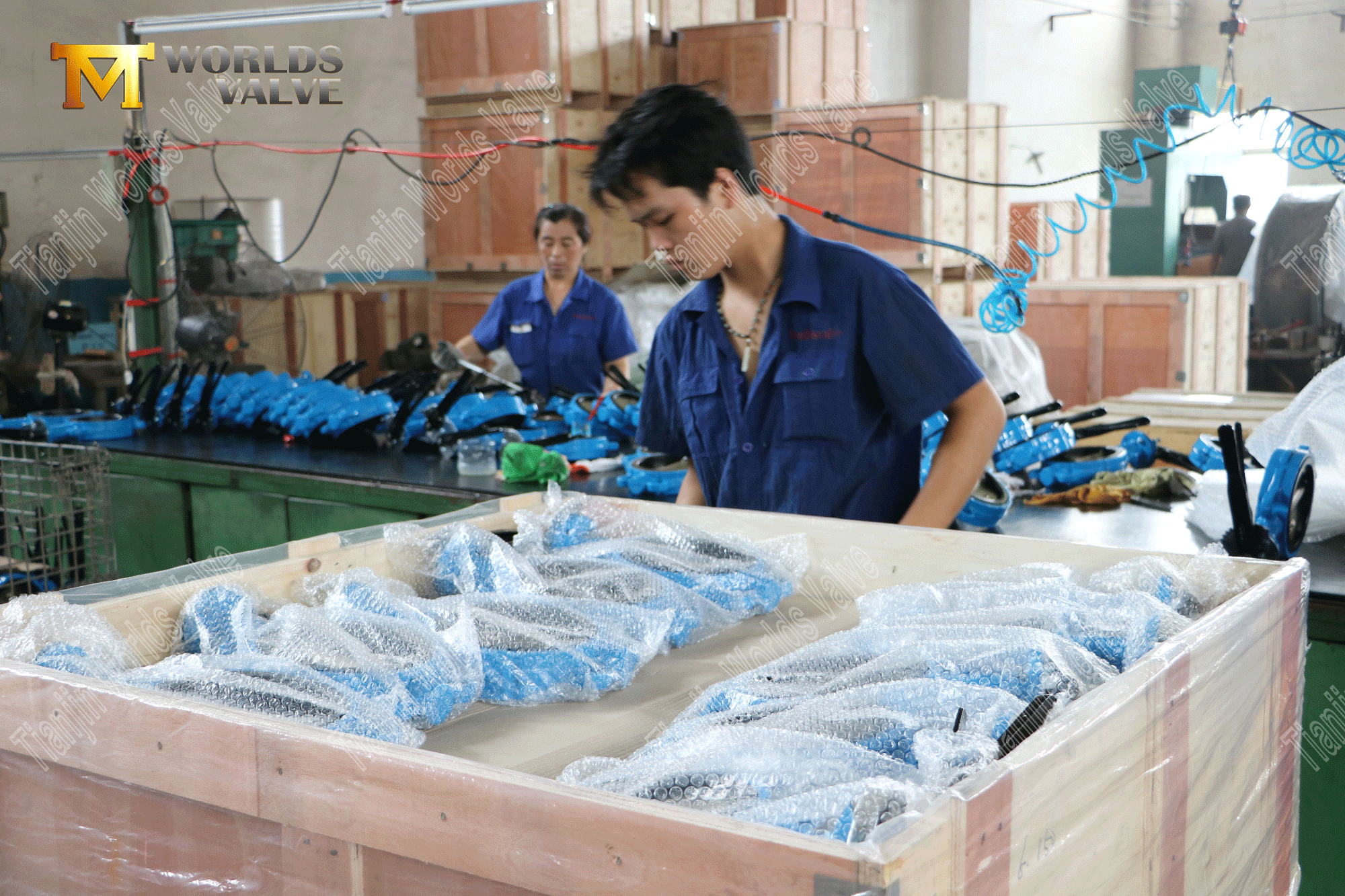 Chinese klepfabrikant - Gietijzeren wafel type vlinderventiel (8)