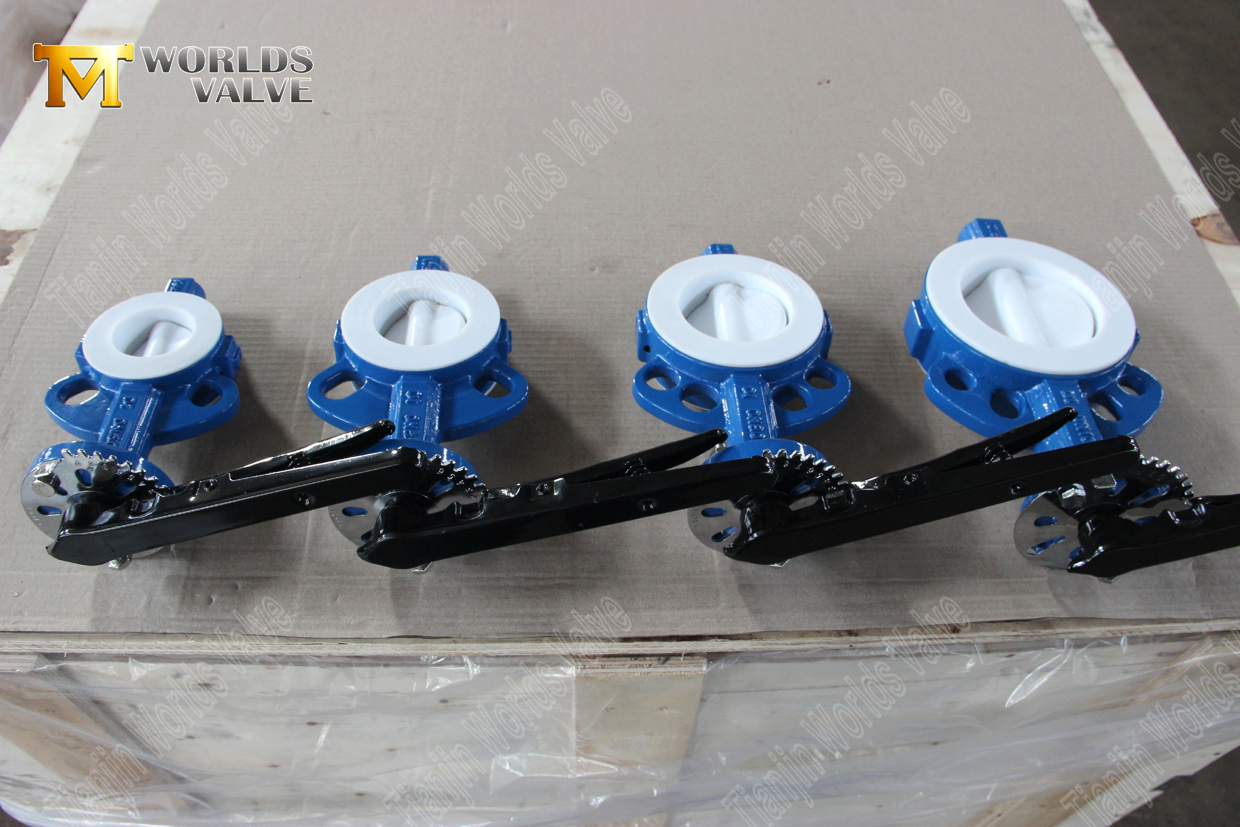 PTFE-Lined-Butterfly-VAVE-VAVE-WAFER-TYPE-BUTTERFLY-VALVE-FACTORY-FROM-CHINA- (7)
