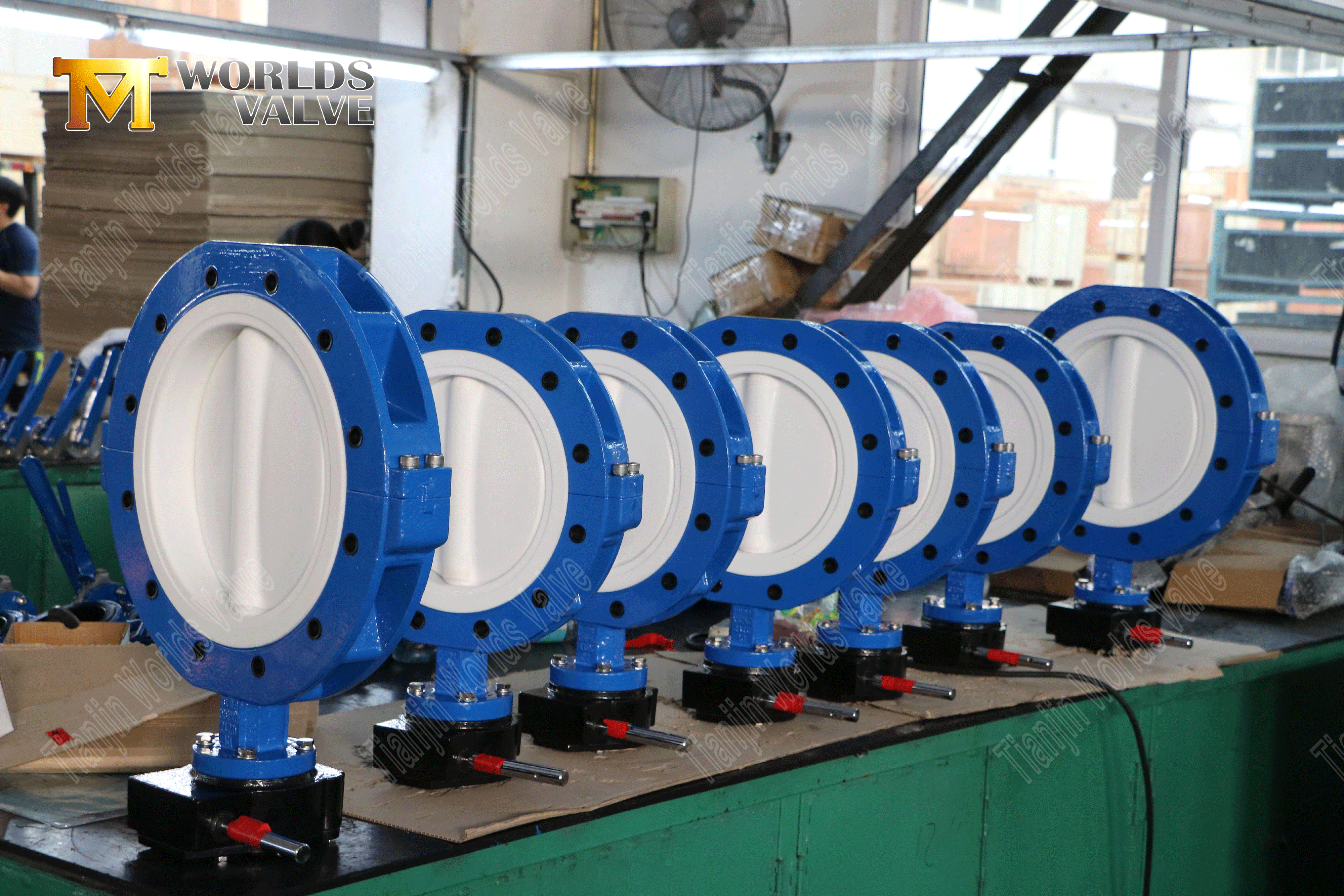 Butterfly Valve Fabrikanten-PTFE Volledig gevoerde LUG Type vlinderventiel (8)