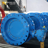 Awwa C504 vlinderklep met di-klep body-double offset vlinderventiel fabrikant
