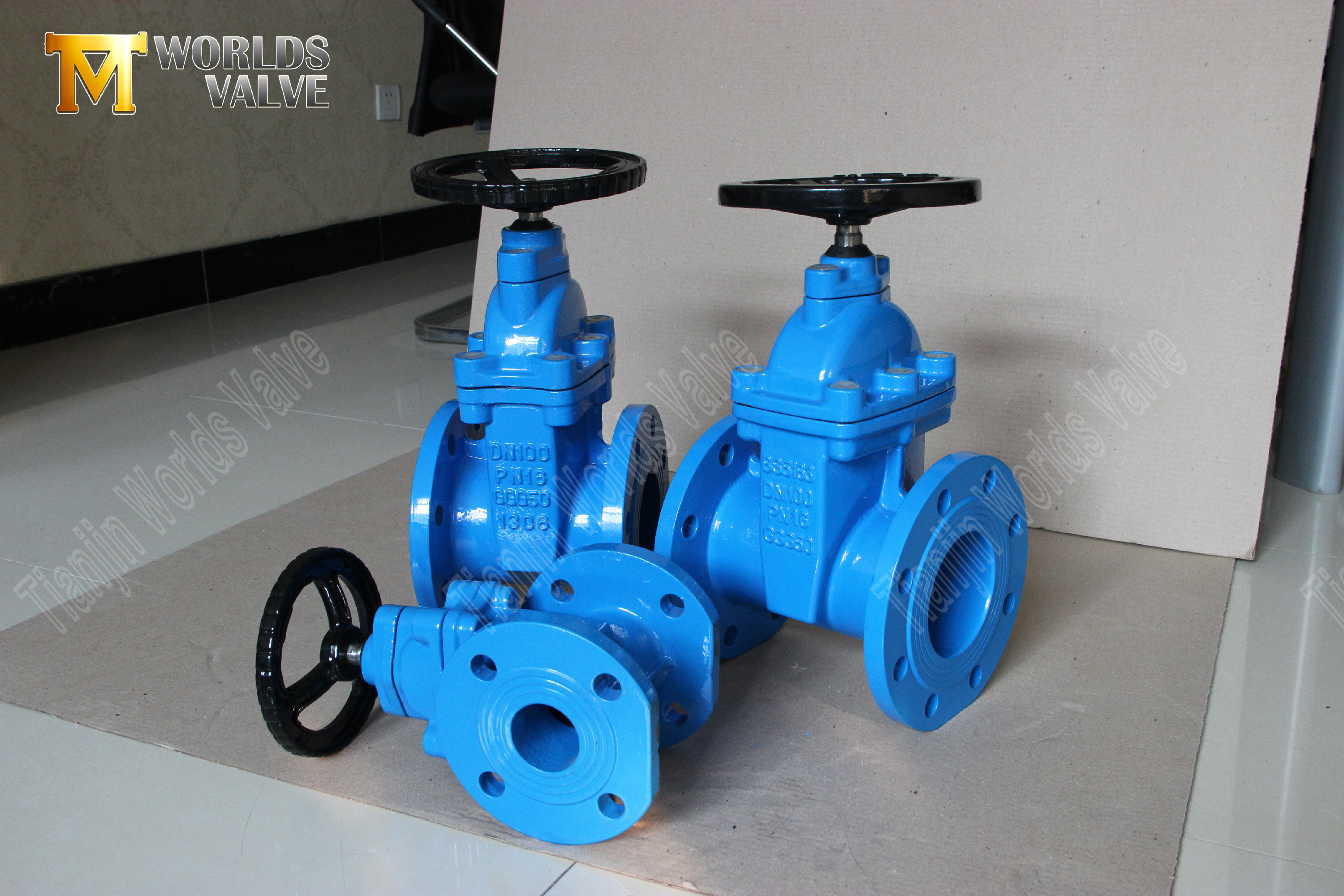 Resilient Seat Gate Valve BS5163 Standaard