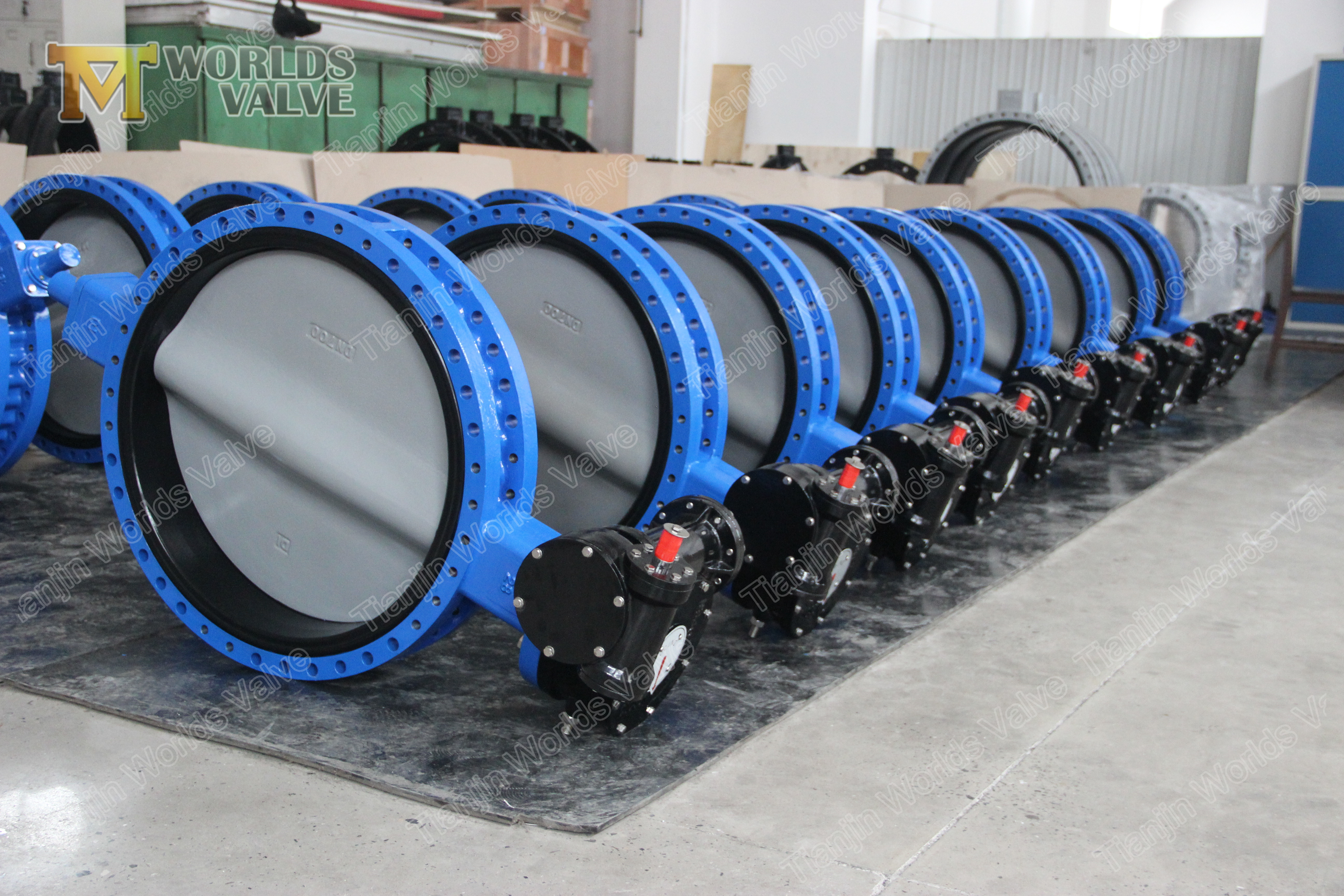 5 Dubbele Flens Butterfly Valve Cartrige API609 Klasse 150 PN10 PN16