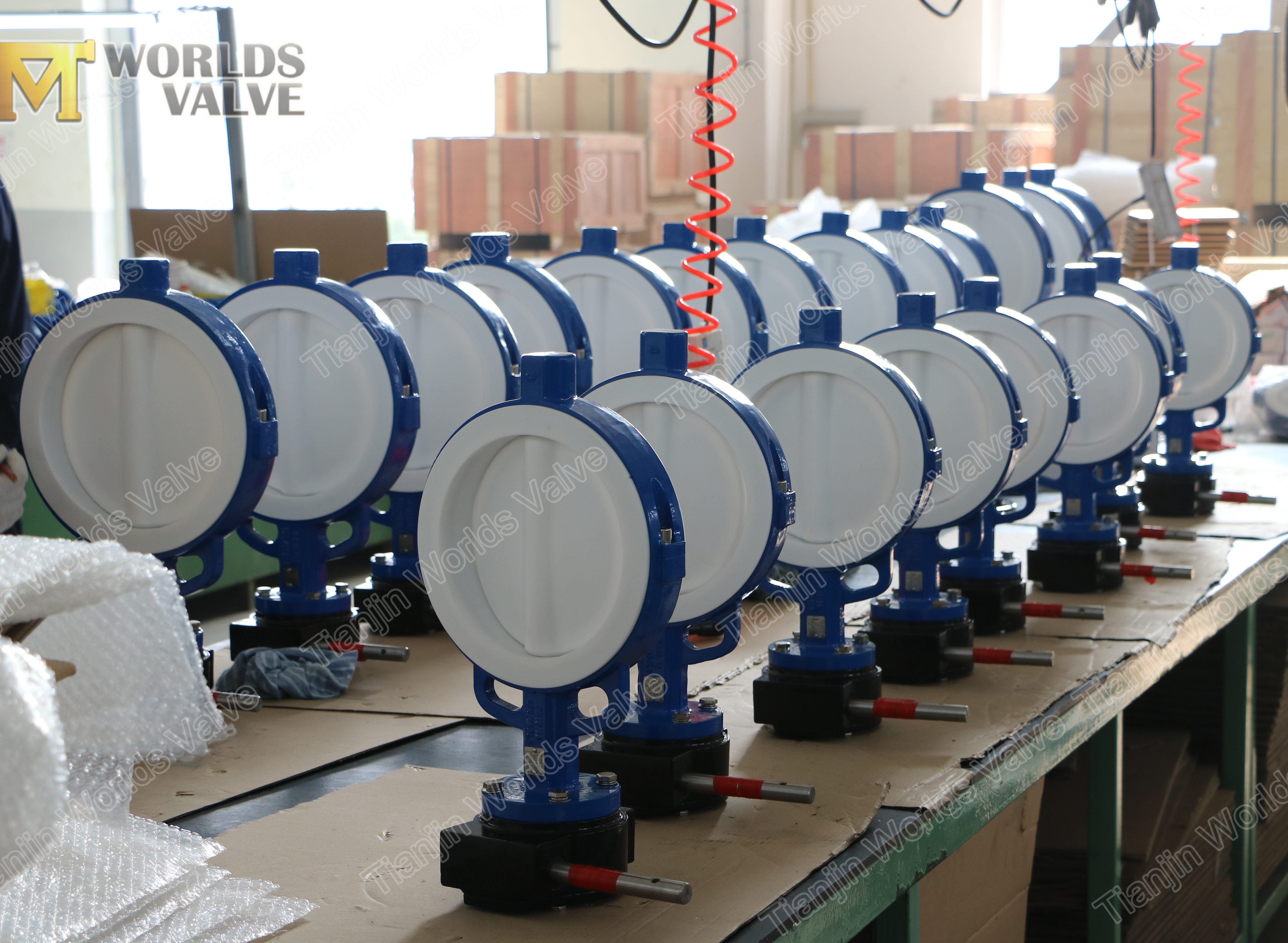 2 PTFE-stoel Twee stukken Body Split Body Wafer Butterfly Valve