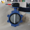 PN16 LUG vlinderklep nodulair gietijzeren behuizing en CF8M schijf | China OEM-klepleverancier
