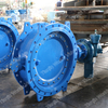 Excentrische Flens Butterfly Valve met Akzonobel Epoxy Body & Disc