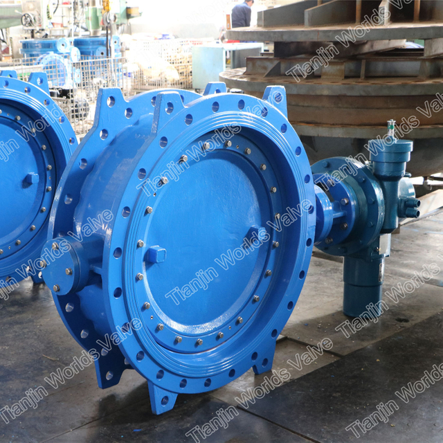 EN558 Series14 excentrieke dubbele flens vlinderklep