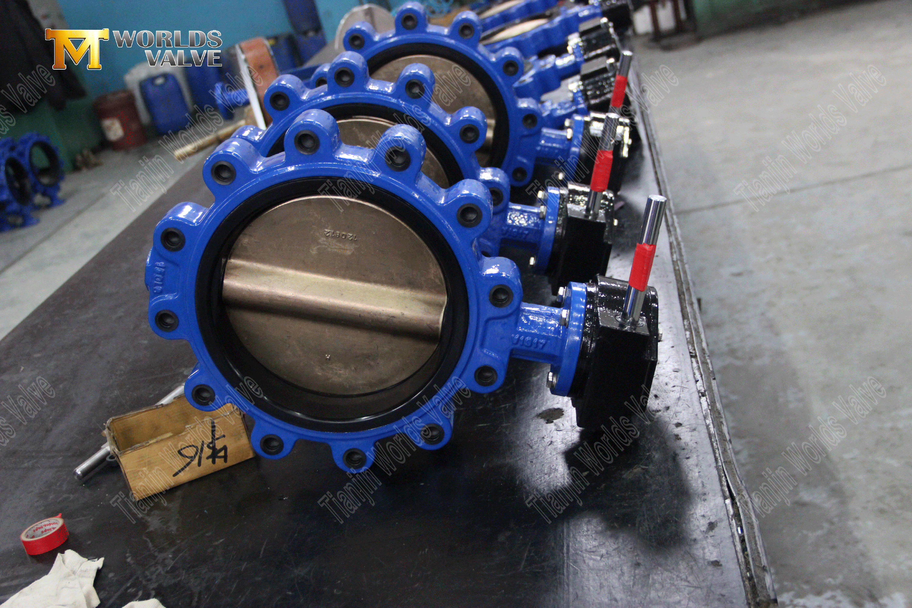 OEM ODM-klep fabrikant-lug stijl veerkrachtige zittende vlinderkleppen (3)