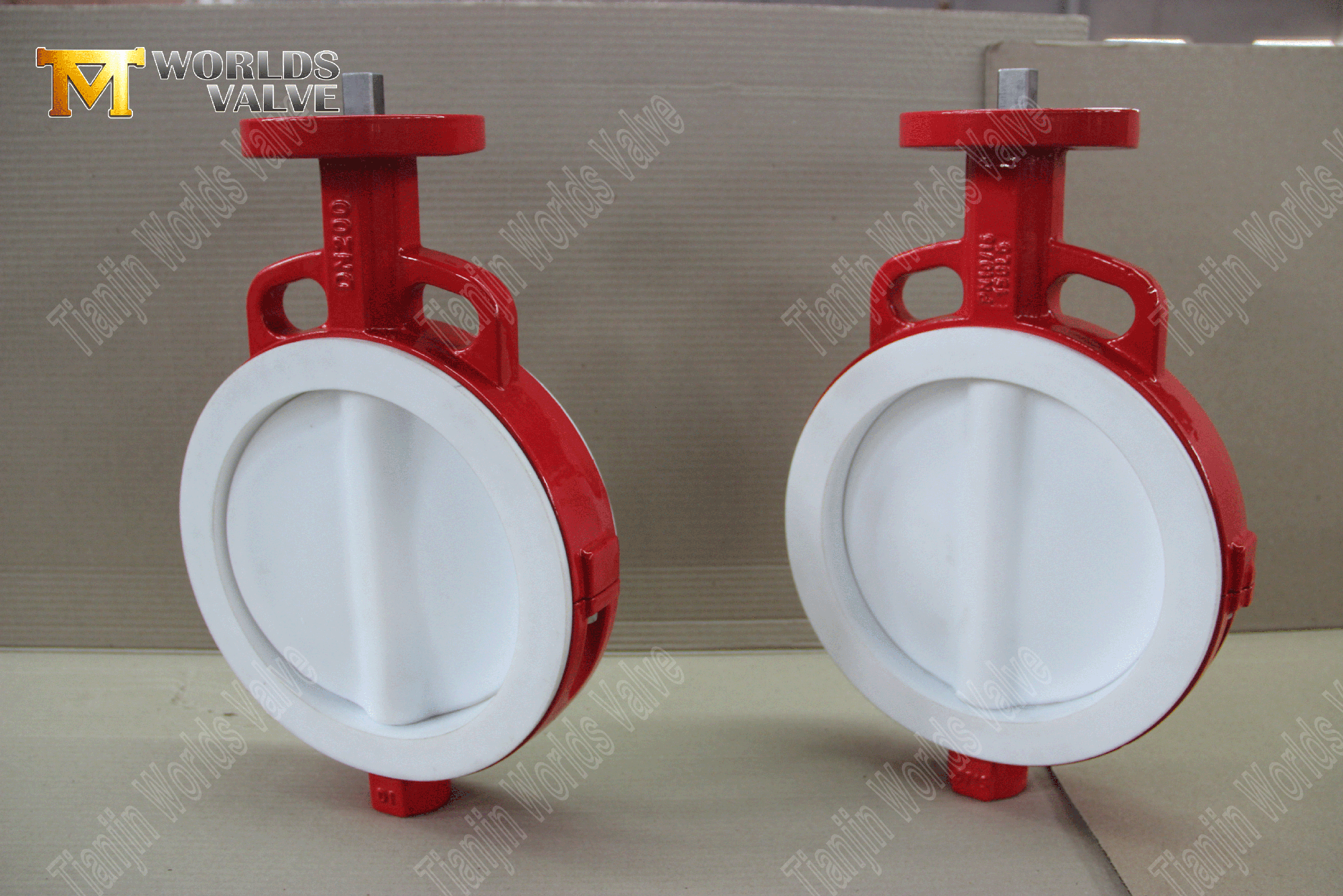 Ptfe-full-tolled-Wafer-Butterfly-VALVE- (4)