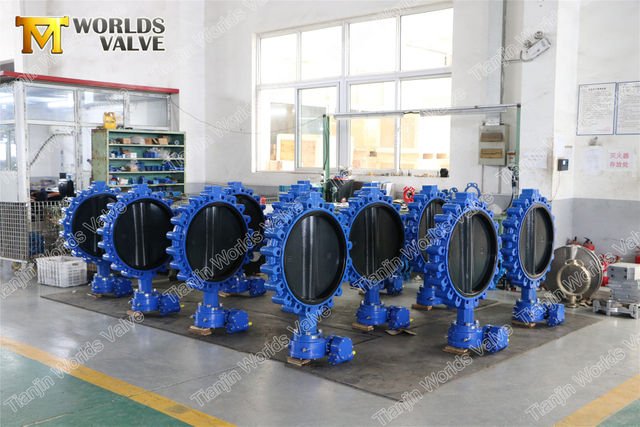 Volledig gesjouwde Halar Coating schijf vlinderklep met dubbelwerkende pneumatische actuator