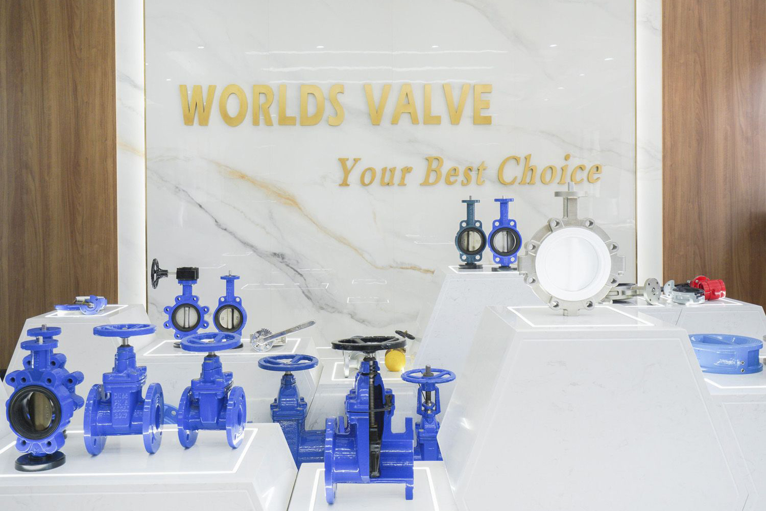 Tianjin-Worlds-VALVE-CO-LTD-(8)