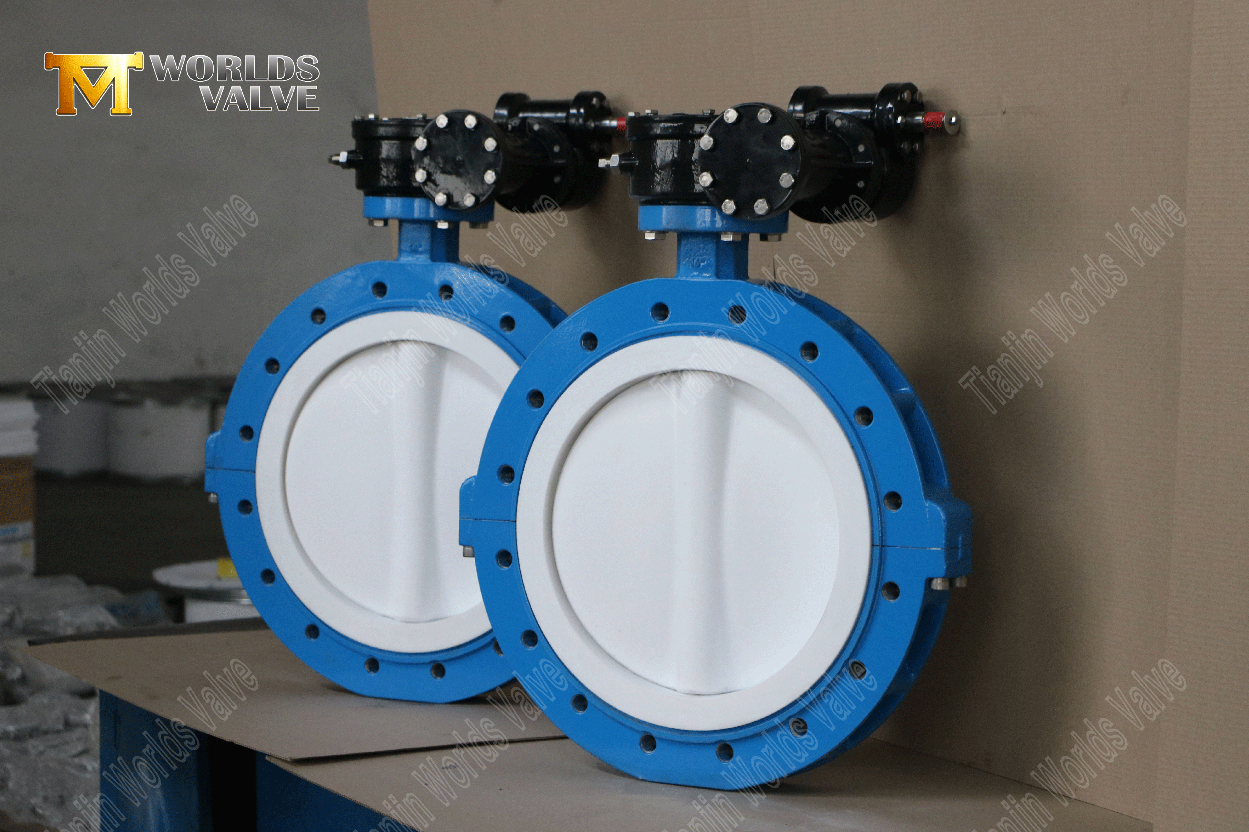 LUG TYPE PTFE STEAT & DISC-vlinderkleppen met Worm Gear-3 (1)