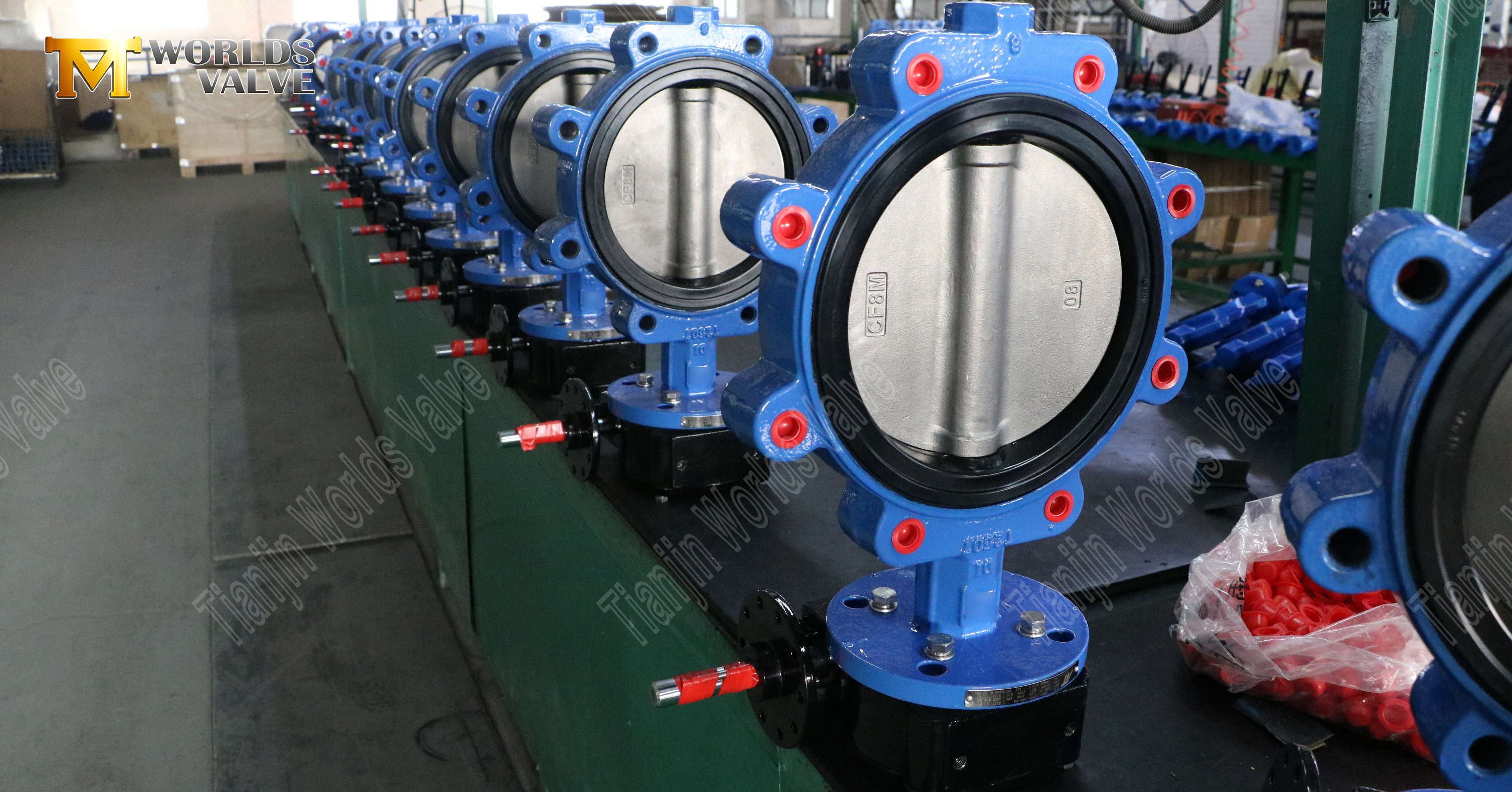 Lug-type vlinderklep met zachte rubberen zitting en RVS schijf (1)