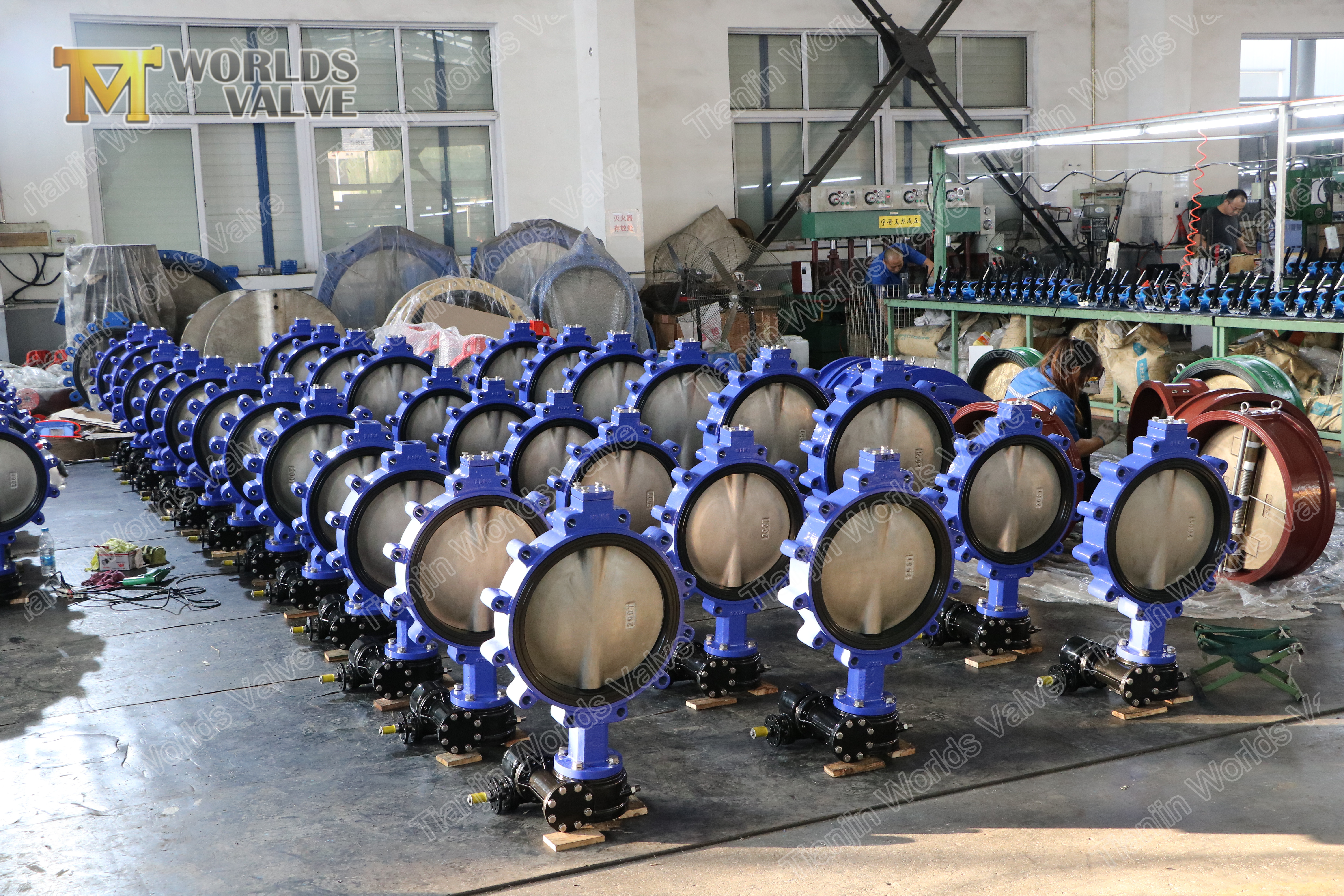 4 A536 A395 Ductile Iron Butterfly-klep,