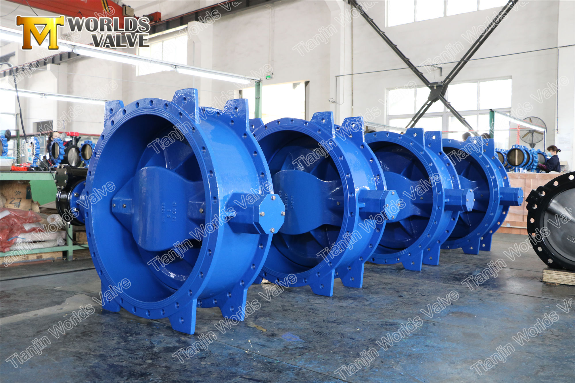 2 Excentrieke dubbele flensvlinderklep met SS316 SS304-stoel