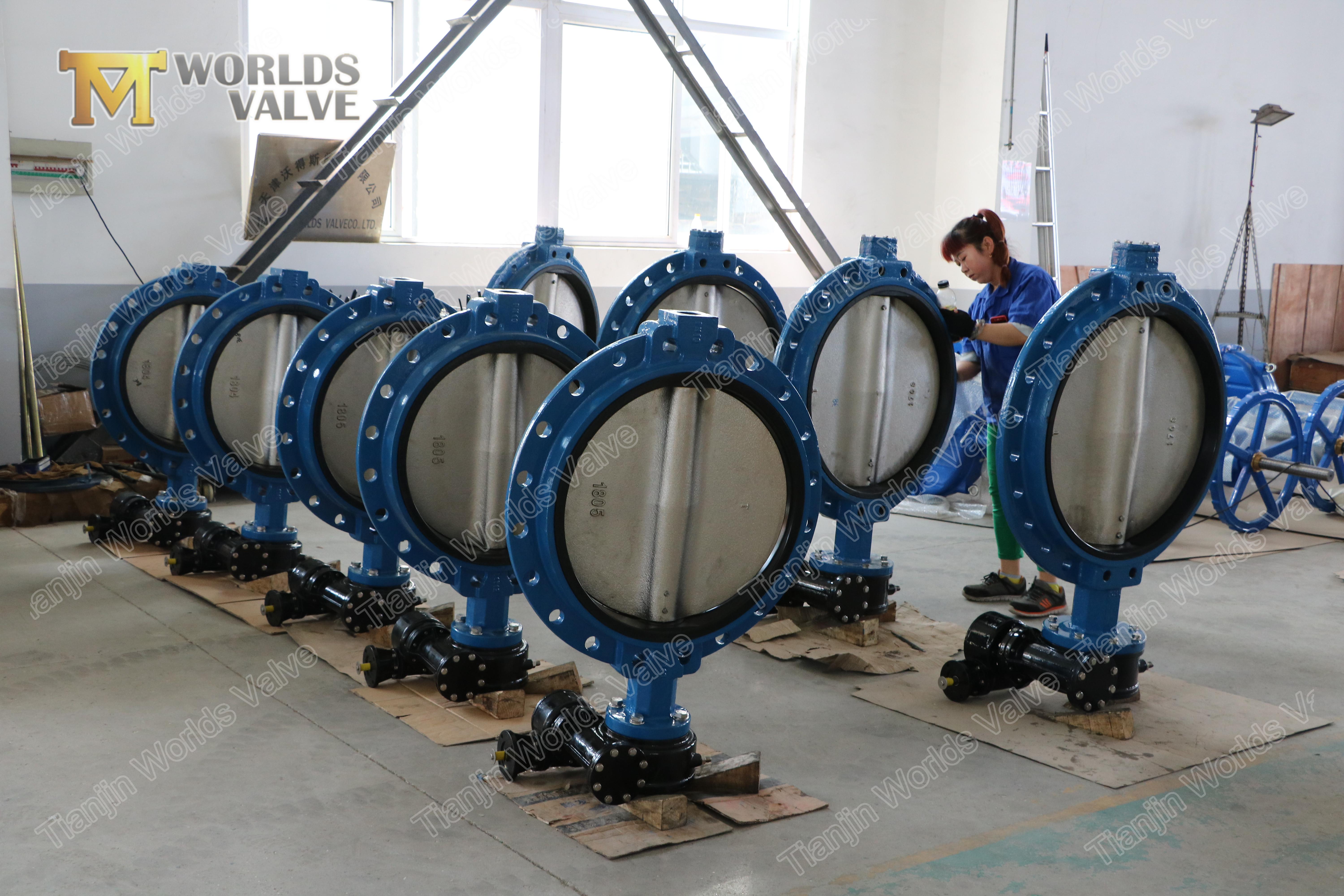 5 Single Flange Ductile Iron Butterfly Valve