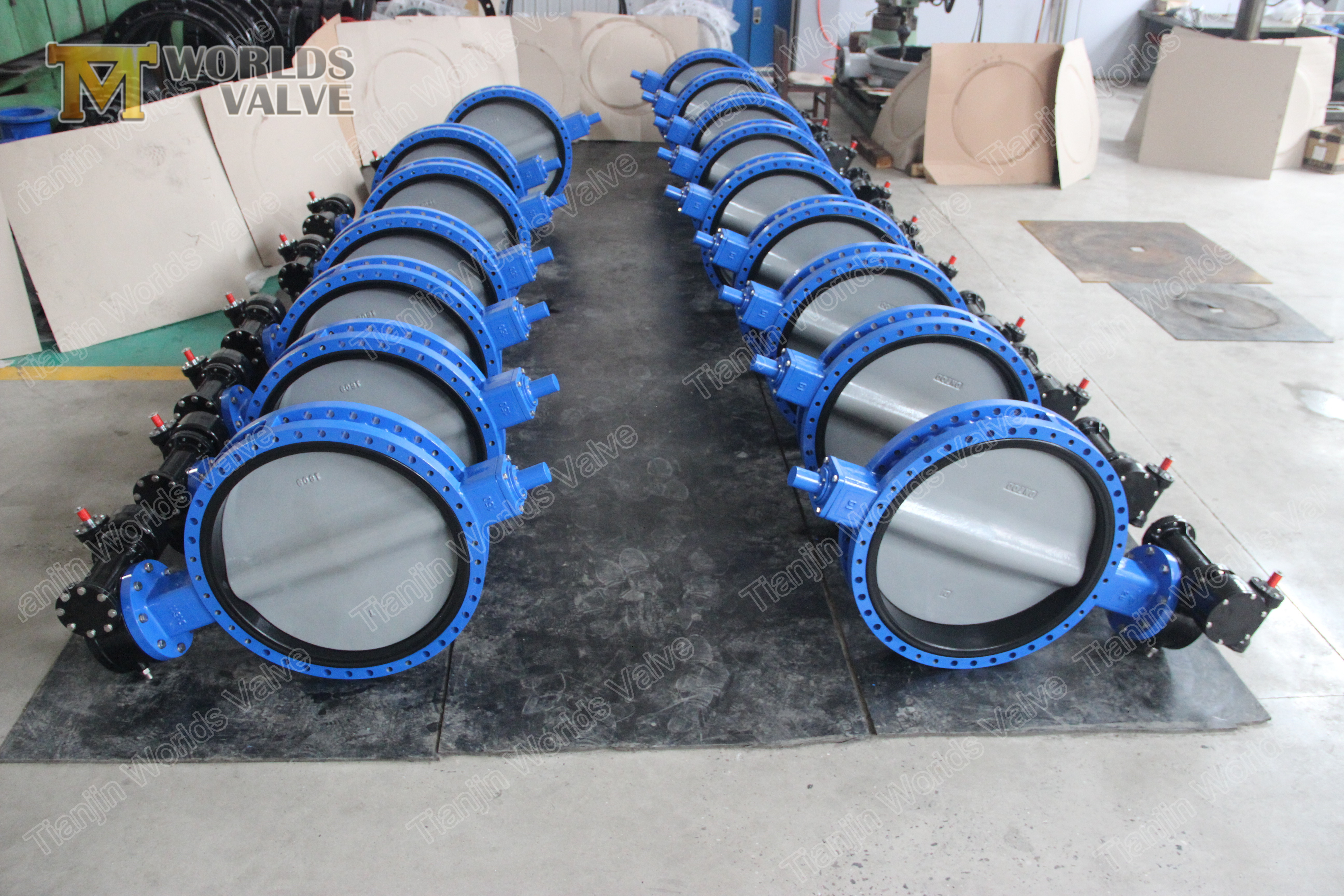 1 U Type Concentrische Dubbele Flens Butterfly Valve zonder taper pin