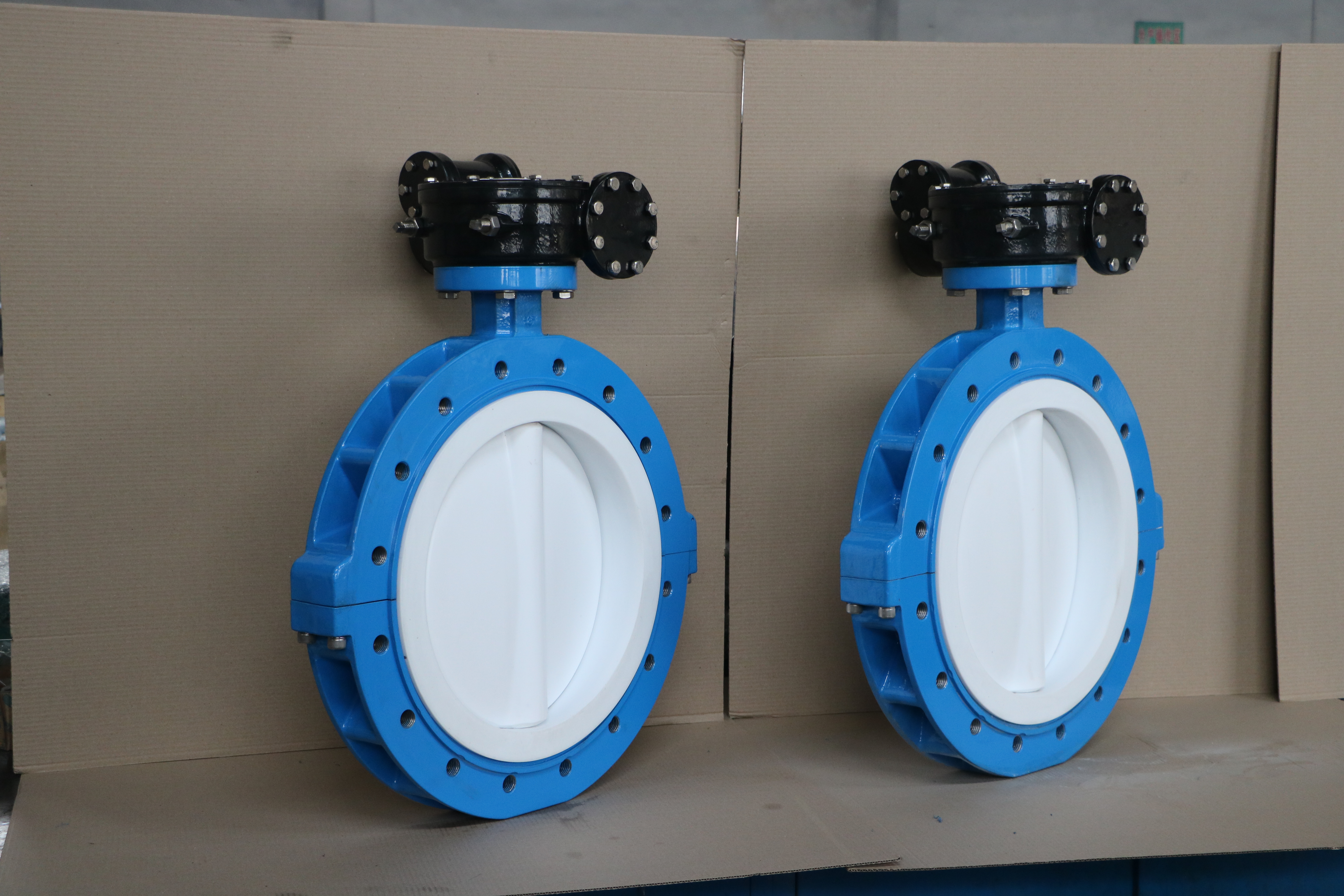 5 PN10 PN16 Klasse 150, JIS 10K, CE ISO9001, Ductile Iron Body, PTFE-schijf en zee