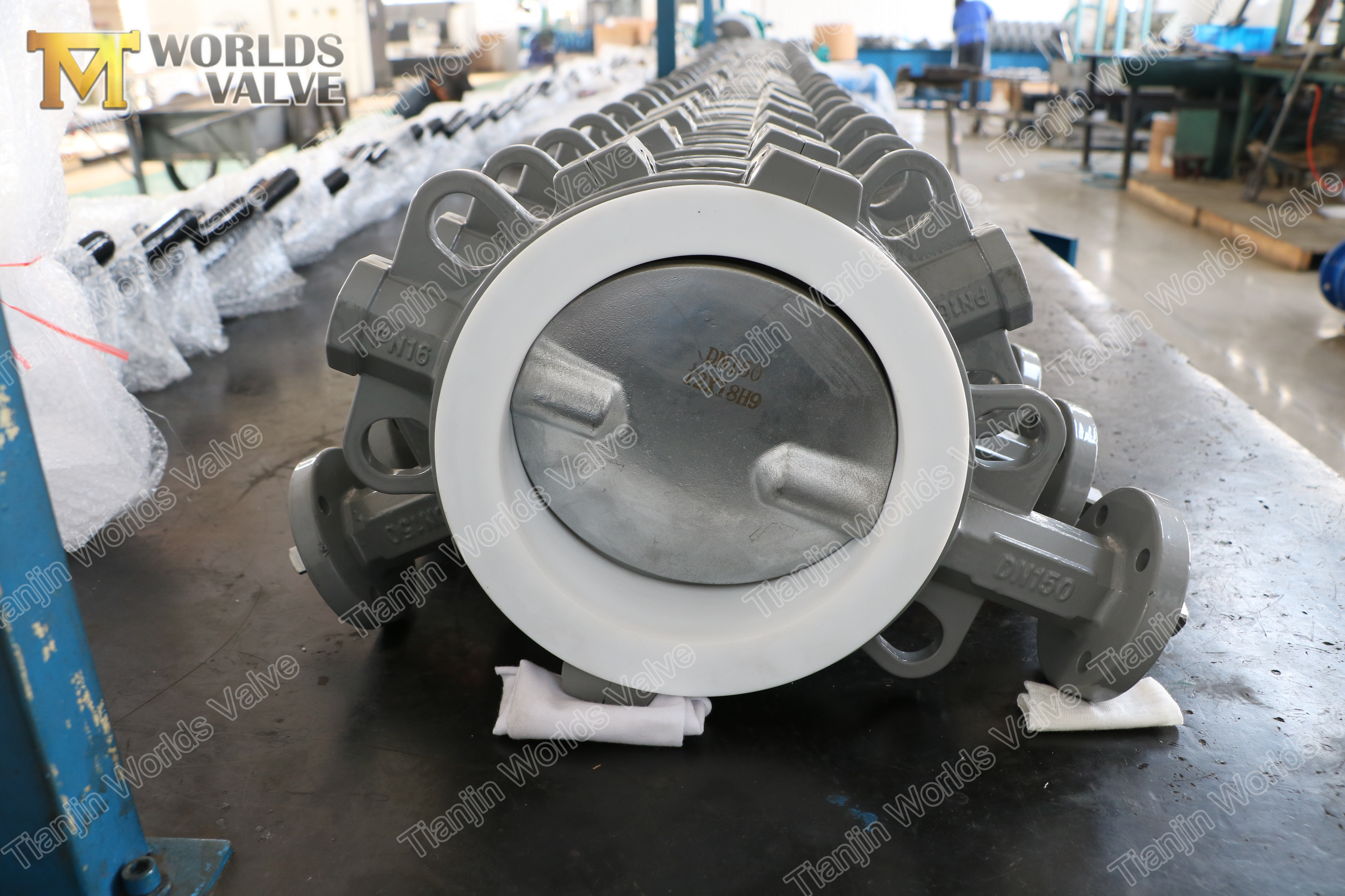 2 Volledige PTFE-voering Wafeltype Concentrische Vlinderklep