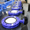 Concentrische lijn gevulkaniseerde gebonden stoel Butterfly Valve FBE Double Flens U-sectie