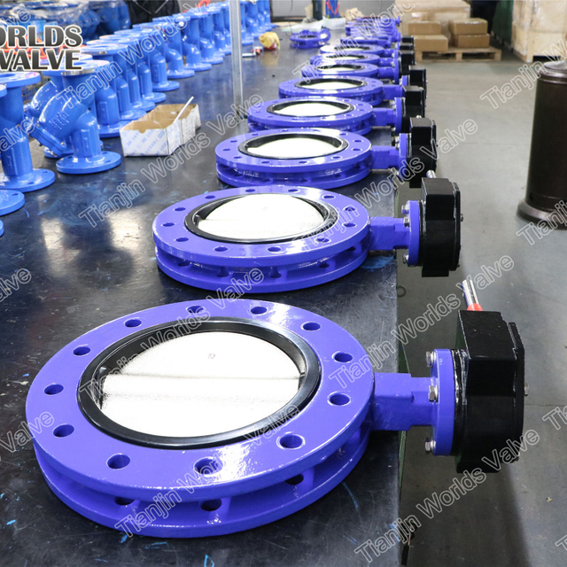 U-patroon EPDM Seal op Body Dubbel Flens Butterfly Valve met versnellingsbak Handwiel