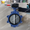 Viton / FKM / FPM Rubber Seat Butterfly Valve voor water