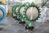 Viton / FKM / FPM Rubber Seat Butterfly Valve voor water