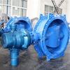 Excentrische Flens Butterfly Valve met Akzonobel Epoxy Body & Disc