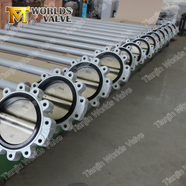 Van Goede Kwaliteit Lug type Threaded End Butterfly-klep met lange / uitgebreide stengel / as