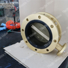 Aluminium Brons Dubbele Flens Butterfly Valve voor zeewater