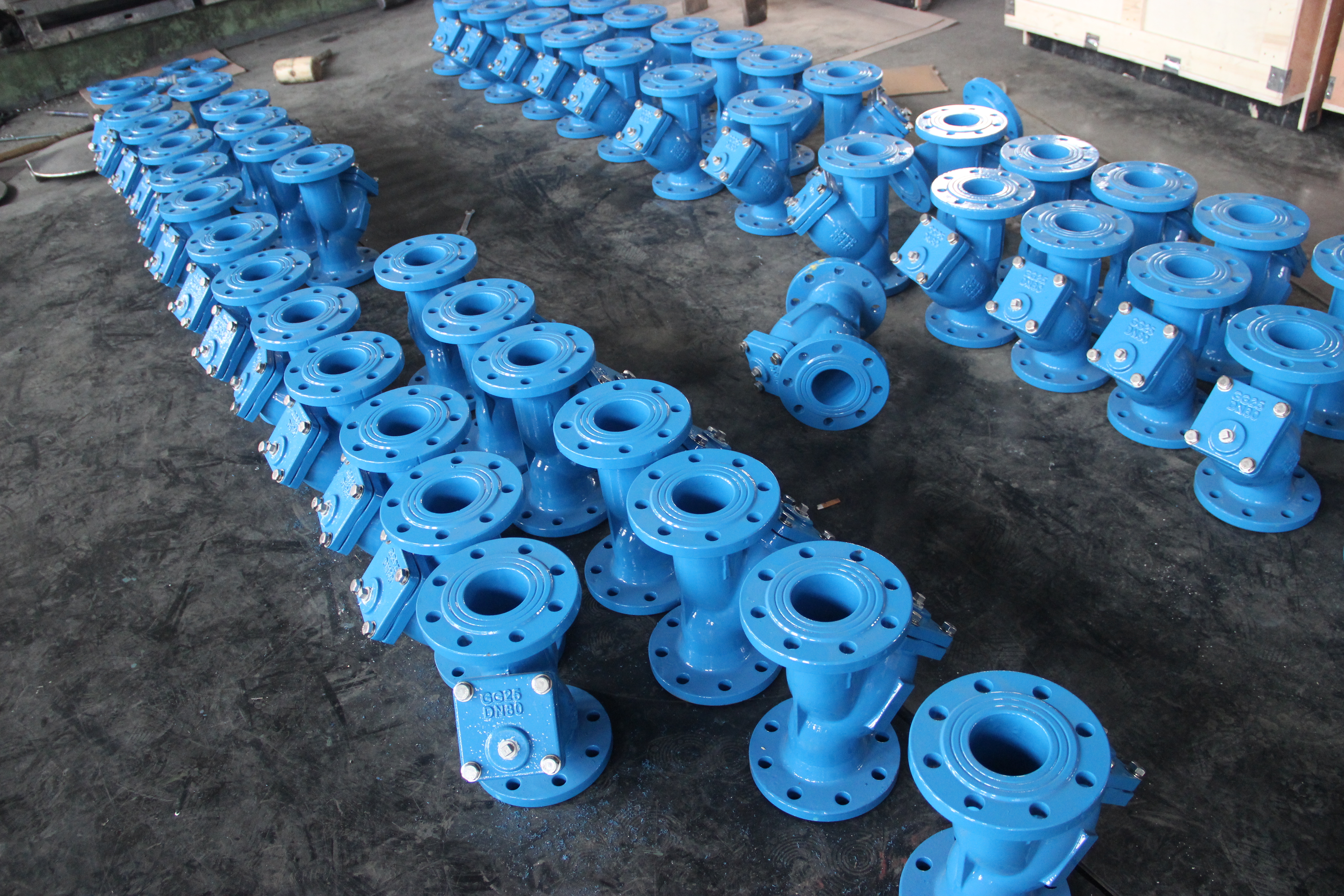 DN80 Y-type zeef Nodulair gietijzeren lichaam Flensaansluiting Industri&euml;le pijpleidingbescherming (2).JPG