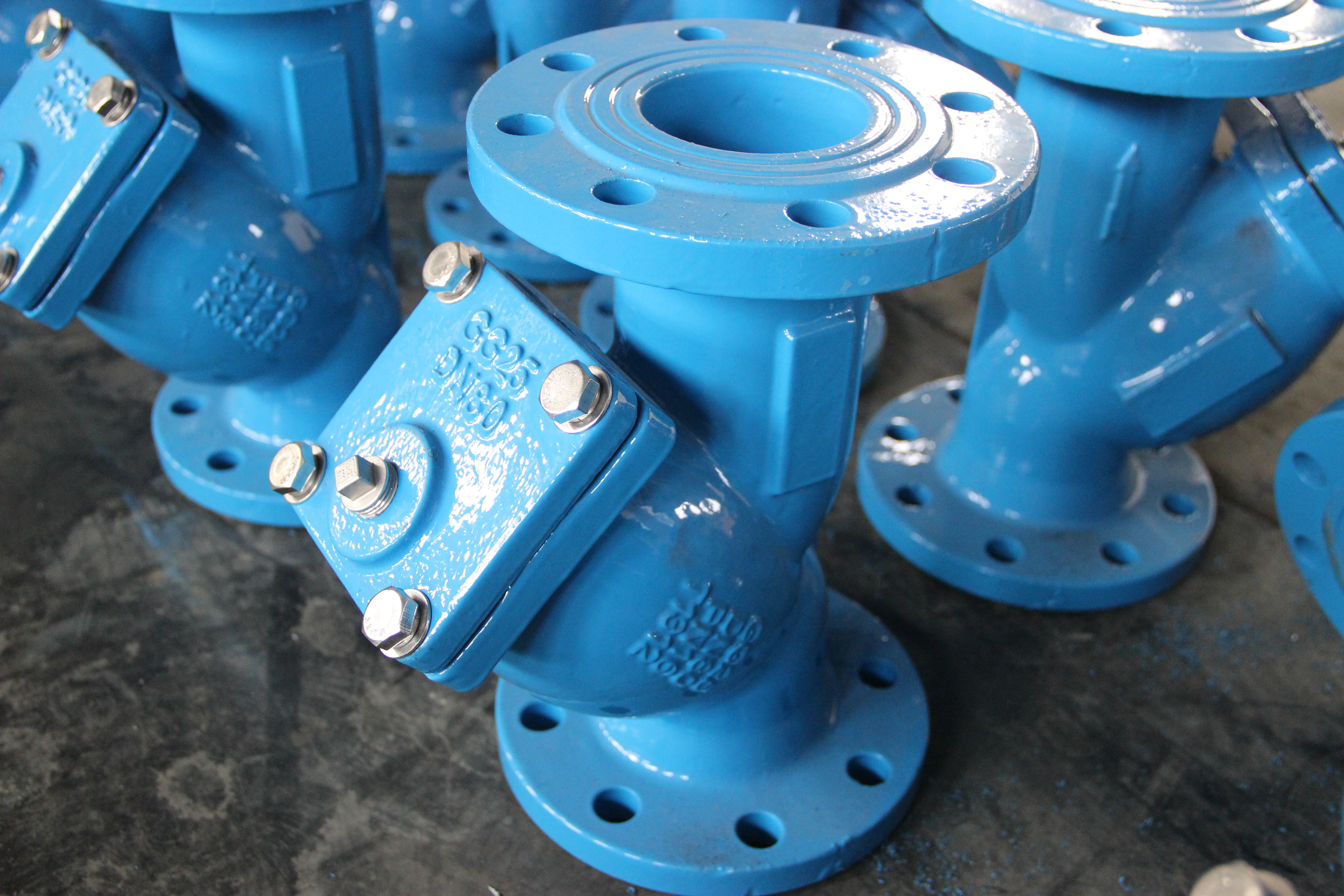 DN80 Y-type zeef Nodulair gietijzeren lichaam Flensaansluiting Industri&euml;le pijpleidingbescherming (1).JPG