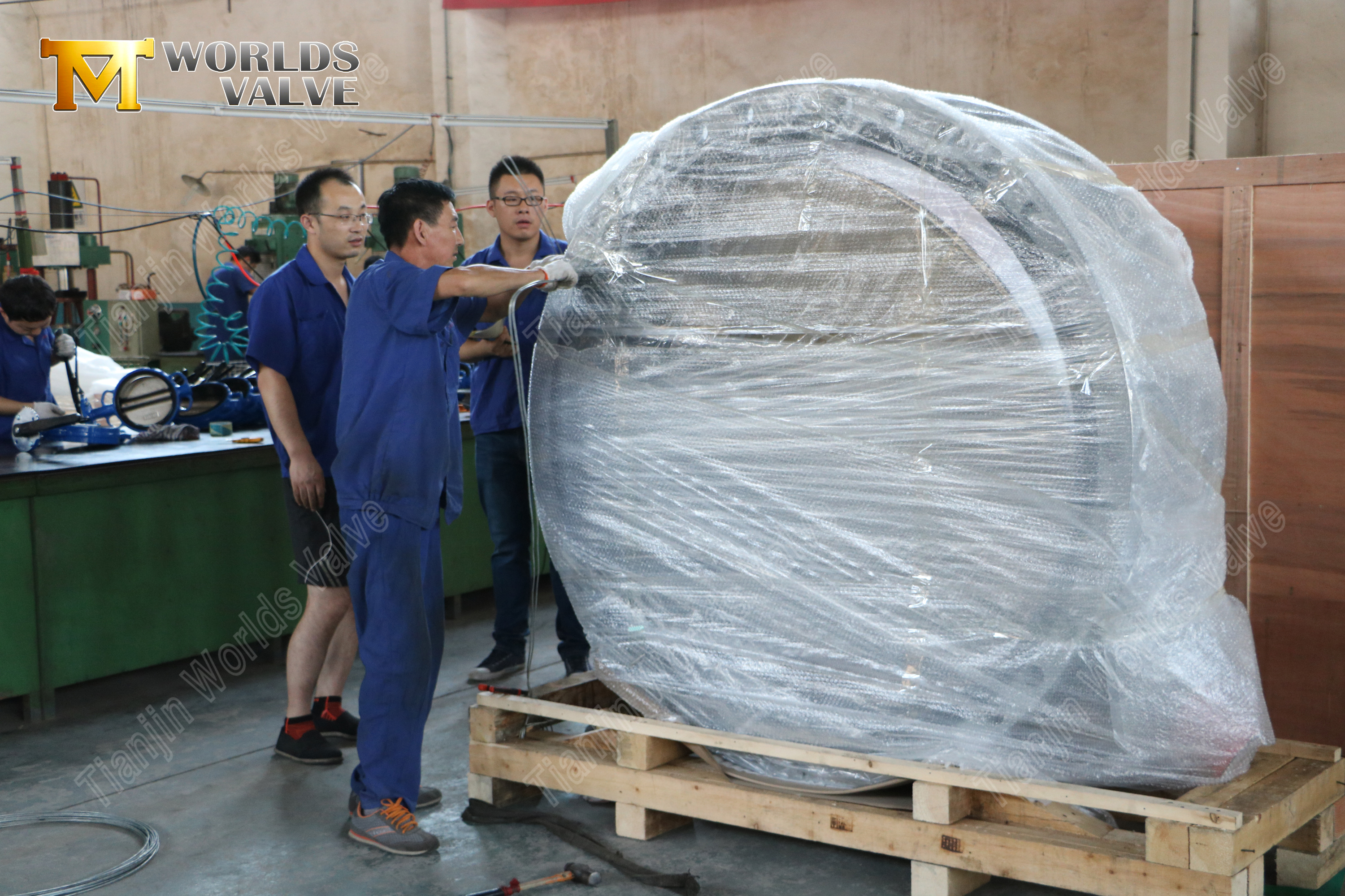 Aluminium bronzen schijf dubbelflens vlinderklep (2)