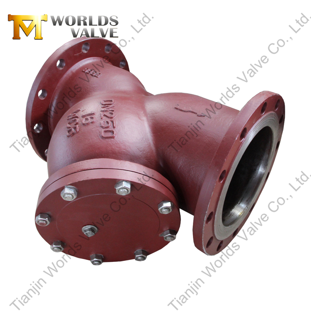 Geflensde Y-type zeef | WCB-koolstofstaal | Bescherming van industriële pijpleidingen