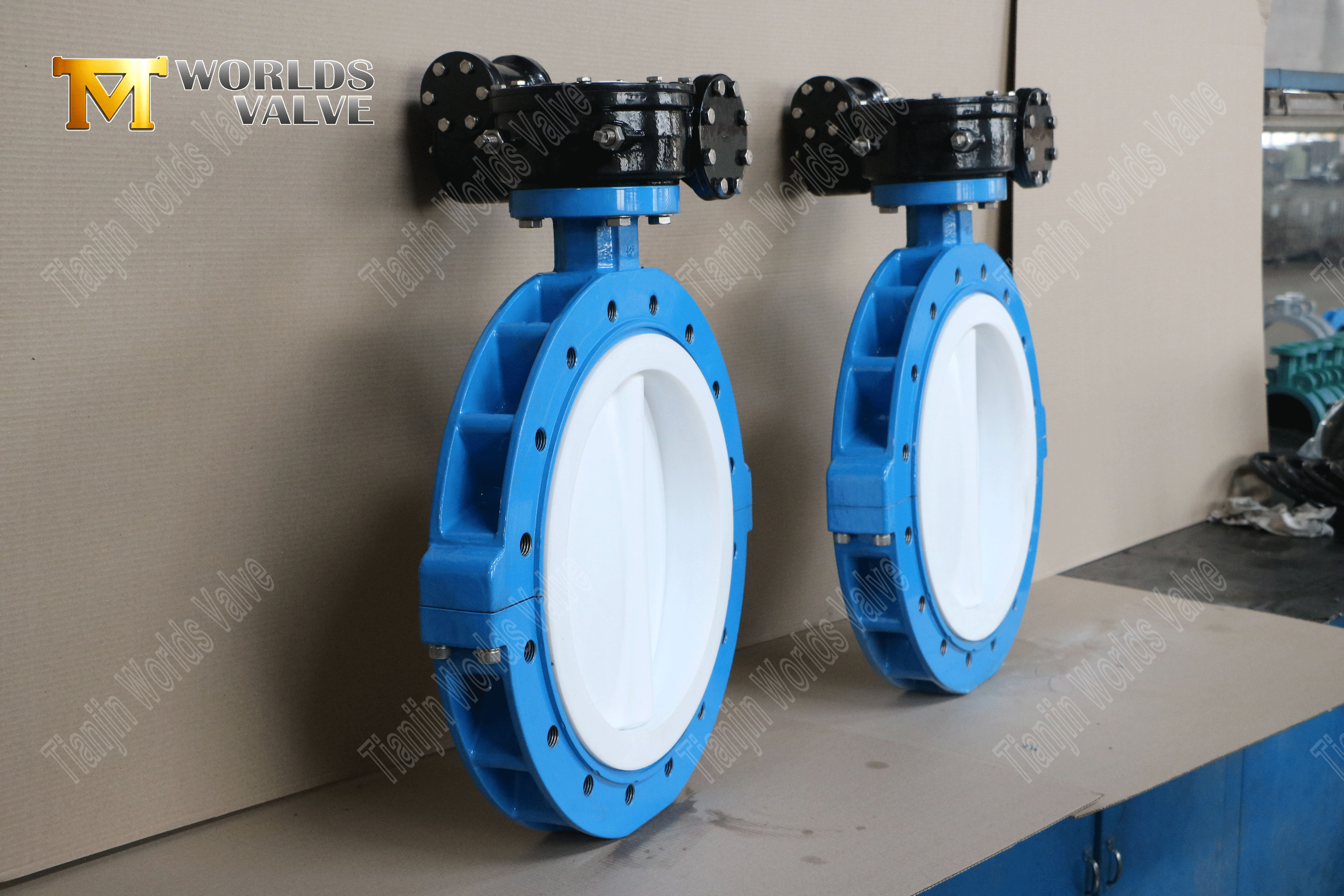 Butterfly Valve Fabrikanten-PTFE Volledig gevoerde LUG Type vlinderventiel (5)