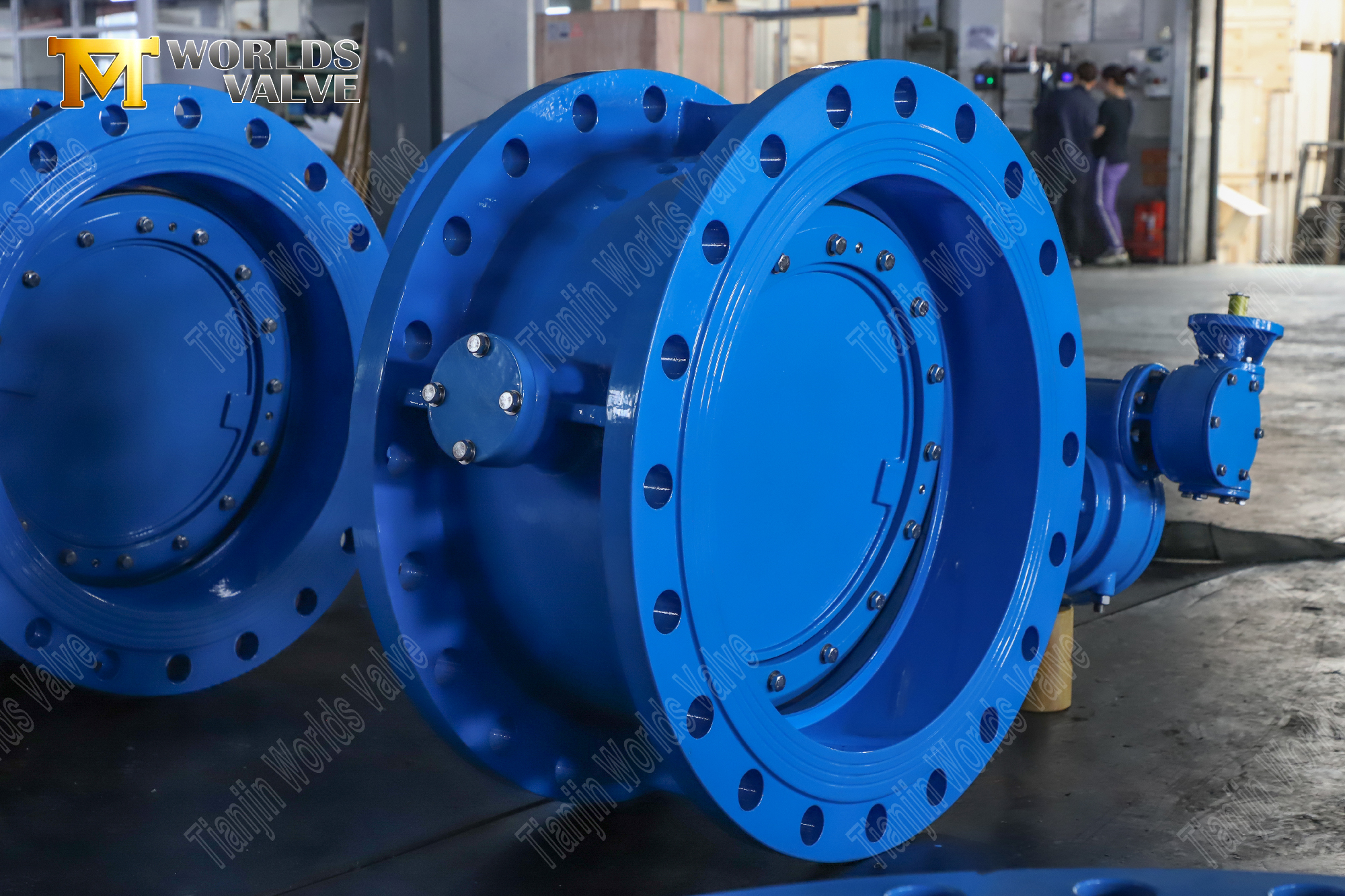 Dubbele offset PN25 vlinderklep met dubbele flenzen en versnellingsoperator-3 (2)