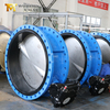 Dubbele flens vlinderklep met volledige SS Body & Disc | Corrosiebestendige industriële oplossing