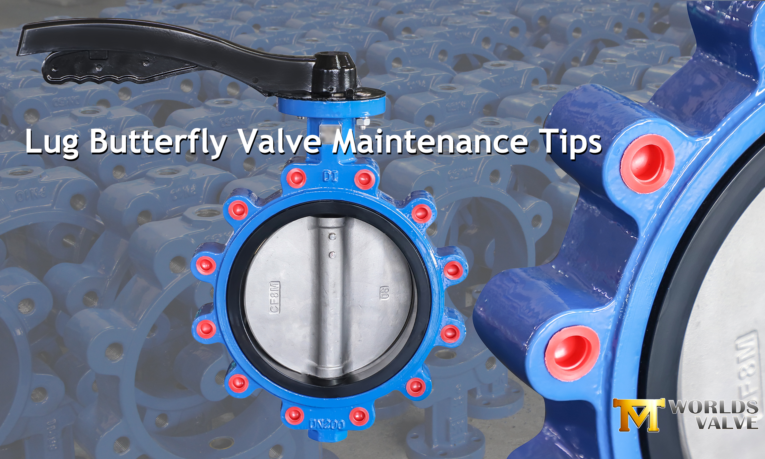 Lug Butterfly Valve onderhoudstips