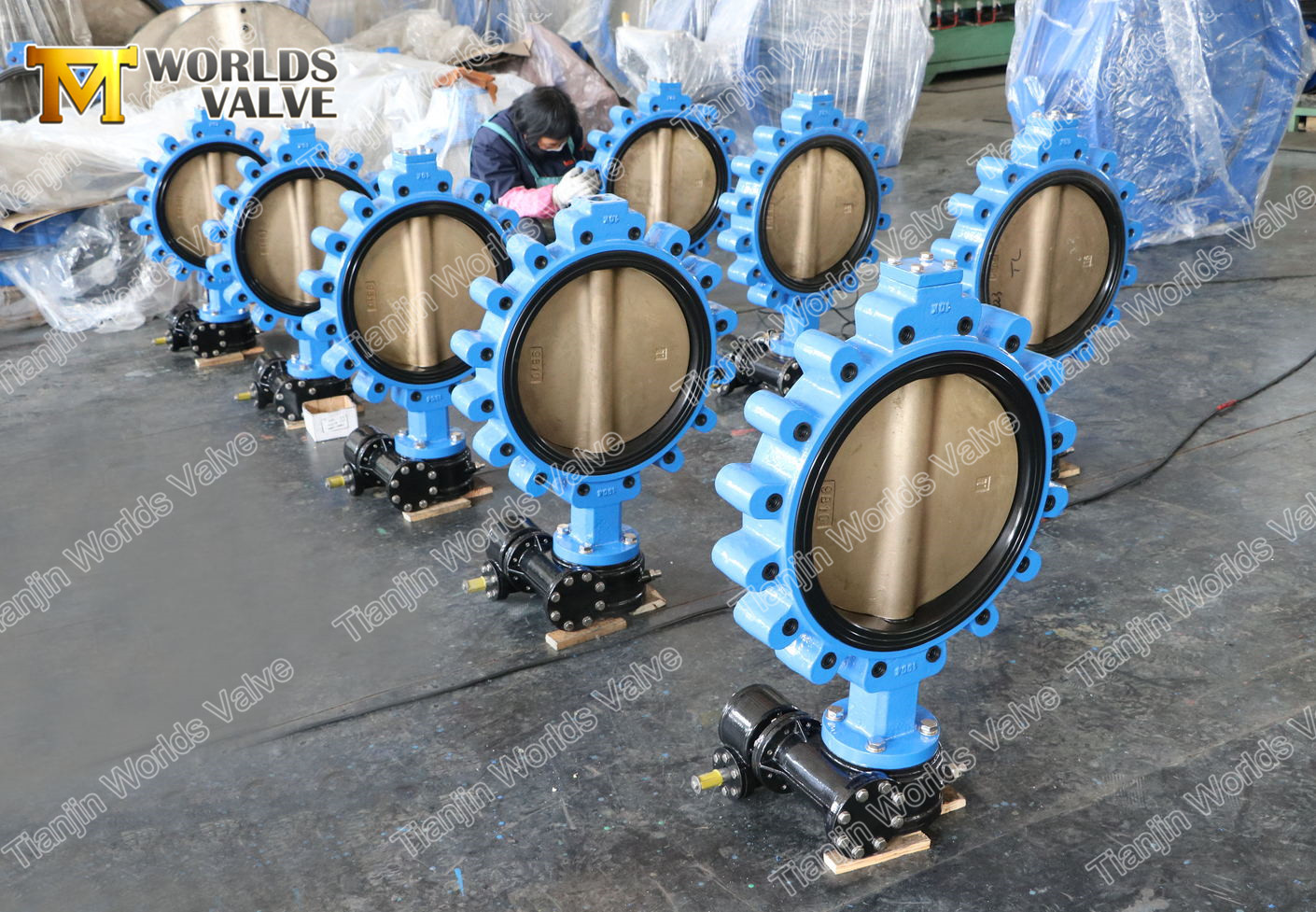 6 Lug type Butterfly-klep met versnellingsbak