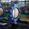 PN16 LUG vlinderklep nodulair gietijzeren behuizing en CF8M schijf | China OEM-klepleverancier