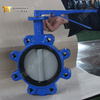 Lug-type vlinderklep met vervangbare EPDM-zitting | DI-body CF8M-schijf | OEM-leverancier