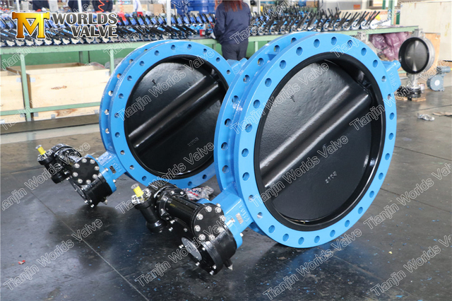 Halar Geschilderde schijf U-sectie rubberen vlinderkleppen