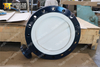 PTFE/PFA Coating Disc Split Body Design Vlinderklep PN10 Class150 PN16