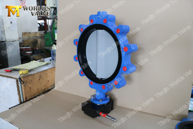 China OEM Butterfly Valve Fabrikant-Nylon Lined Disc Lug Type vlinderventiel met versnellingsbakoperator