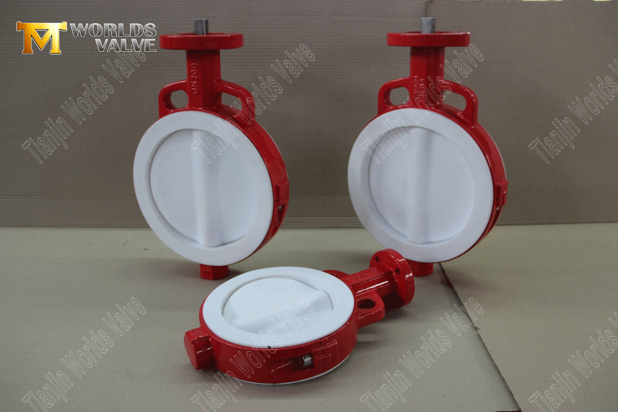 PTFE-Lined-Butterfly-VAVE-VAVE-WAFER-TYPE-BUTTERFLY-VALVE-FACTORY-FROM-CHINA- (1)