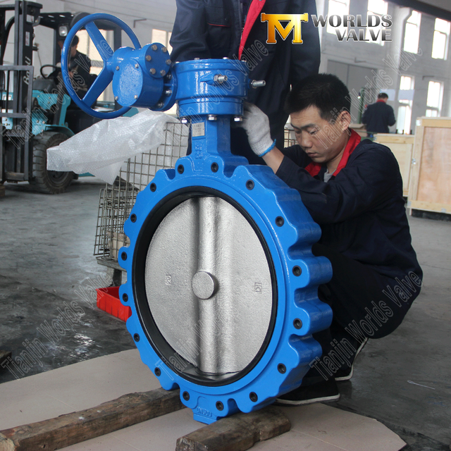 OEM | ODM -klepfabrikant -lug -stijl veerkrachtige zittende vlinderkleppen