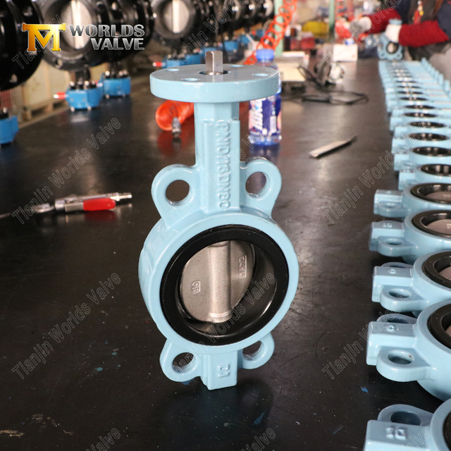 Nodulair gietijzer Wafer-type vlinderkleppen | OEM-vlinderklepleverancier