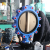 PN16 LUG vlinderklep nodulair gietijzeren behuizing en CF8M schijf | China OEM-klepleverancier