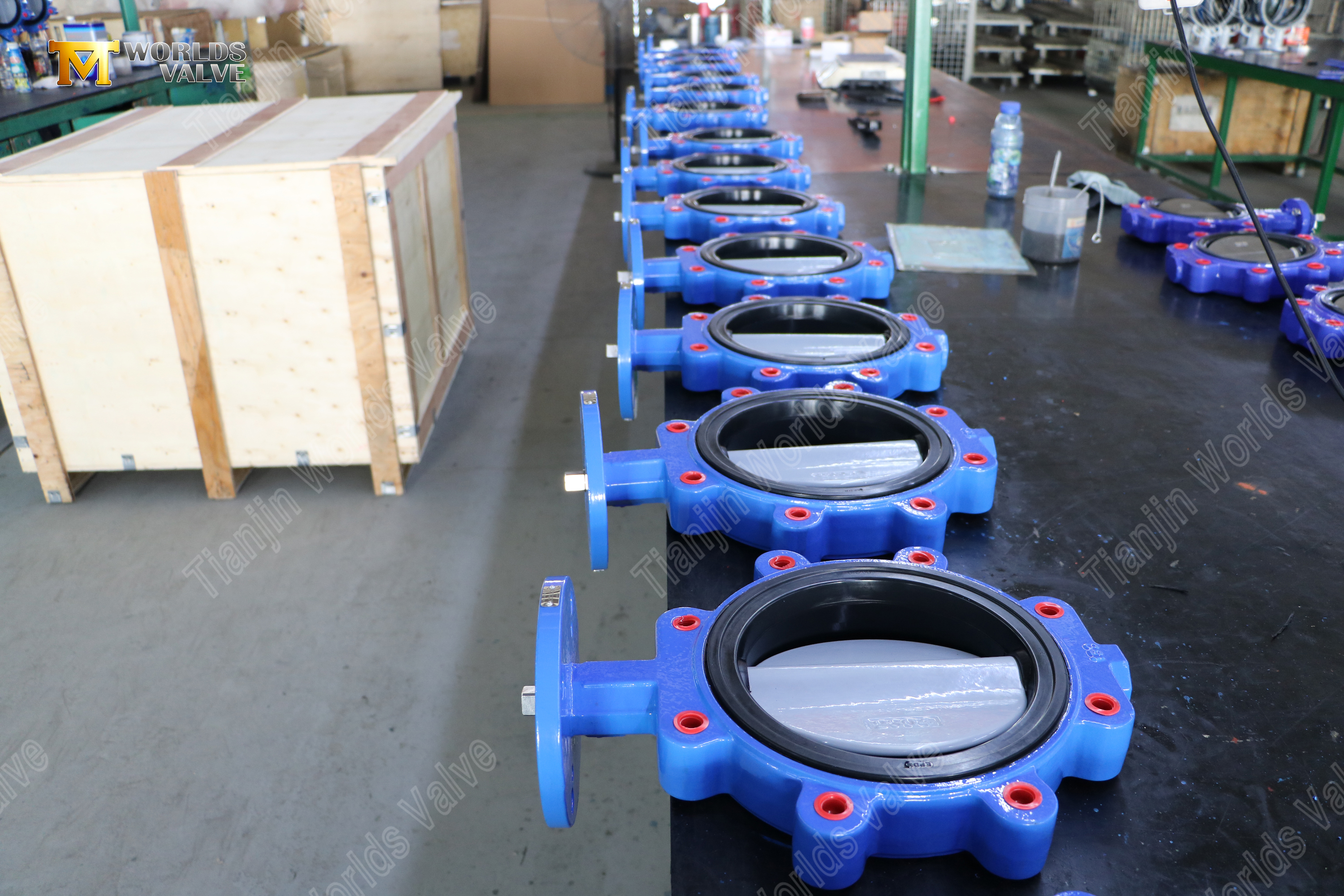 Lug-type vlinderklep met vervangbare EPDM-zitting DI-lichaam CF8M-schijf OEM-leverancier (8)