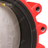Lug-type vlinderklep met vervangbare EPDM-zitting | DI-body CF8M-schijf | OEM-leverancier