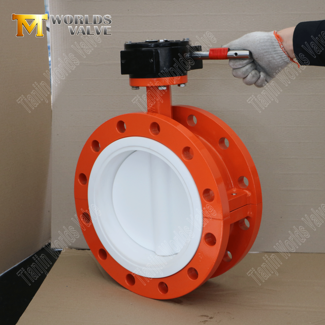 DN600 Tweedelige geflensde PTFE-vlinderklep met WCB-behuizing en tandwielbediening